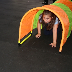 Día de la Actividad Física